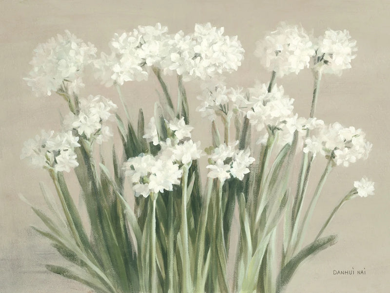 Snowy Paperwhites Neutral by Danhui Nai