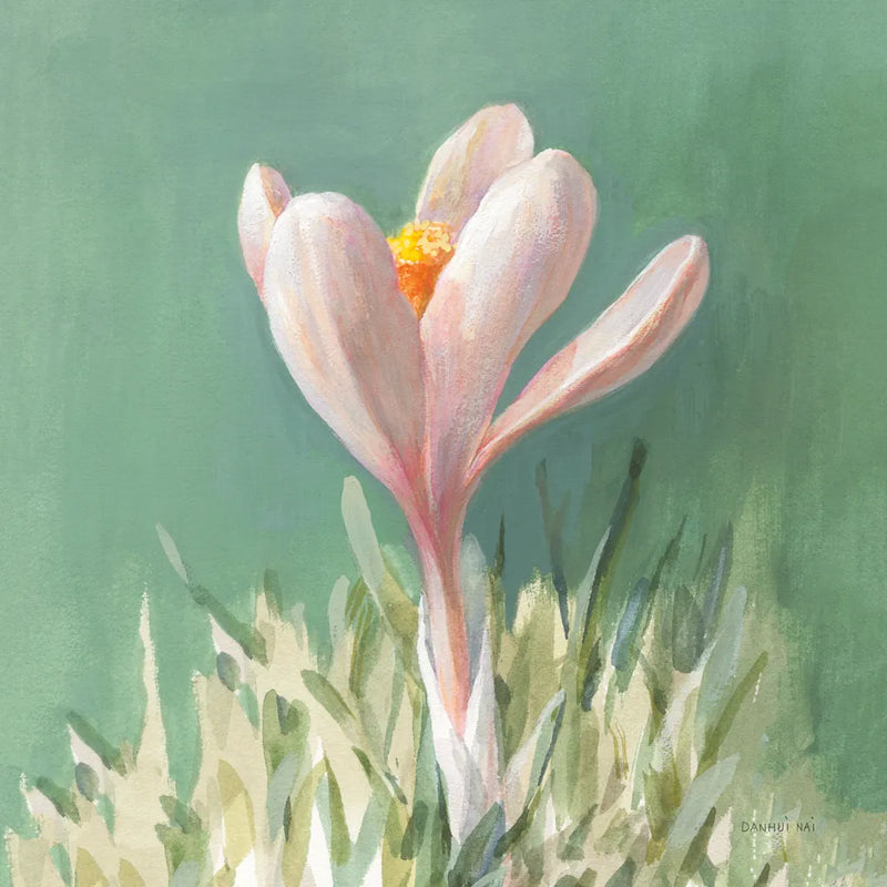 Soft Crocus by Danhui Nai. SKU 72636a. Archival Giclee Fine art print for wall decor.