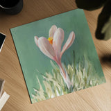 Soft Crocus by Danhui Nai. Shown as a detailed flat fine art print, highlighting archival giclee quality. Available as an archival giclee rolled canvas, fine art paper, or poster print. SKU 72636a.