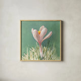 Soft Crocus by Danhui Nai. Shown in a natural wood glass frame for a timeless modern aesthetic. Available as an archival giclee rolled canvas, fine art paper, or poster print. SKU 72636a.