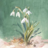 Soft Dewdrops by Danhui Nai. SKU 72637a. Archival Giclee Fine art print for wall decor.