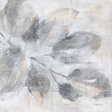 Soft Leaves I by Danhui Nai. SKU 84438a. Archival Giclee Fine art print for wall decor.