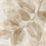 Soft Leaves II Verdant by Danhui Nai. SKU 85293a. Archival Giclee Fine art print for wall decor.