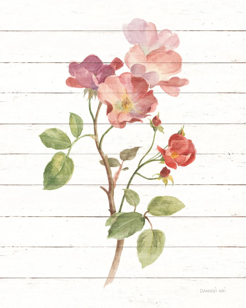 Sprigs of Summer I by Danhui Nai