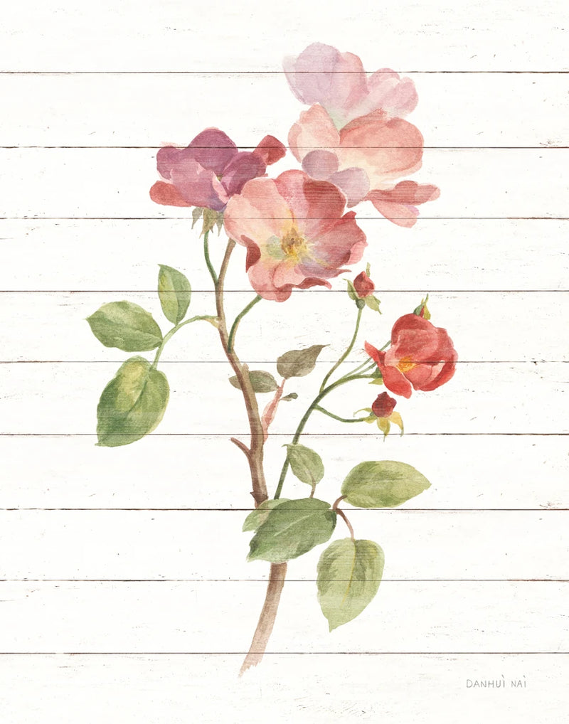 Sprigs of Summer I by Danhui Nai