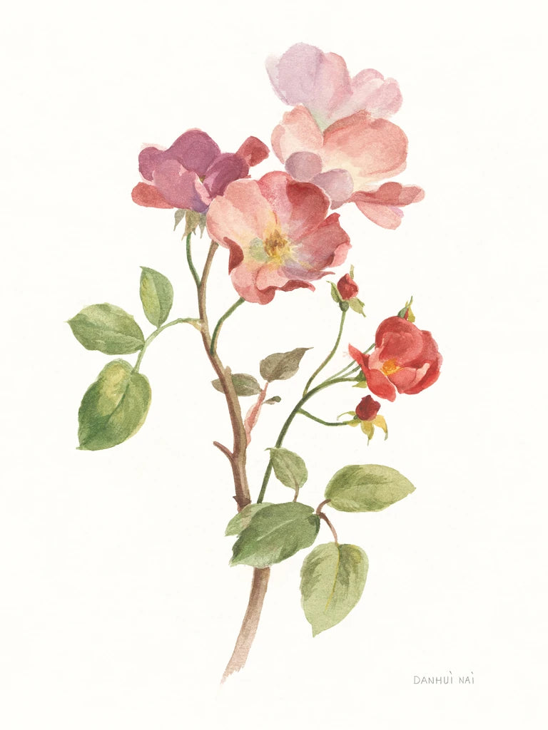 Sprigs of Summer I On White by Danhui Nai