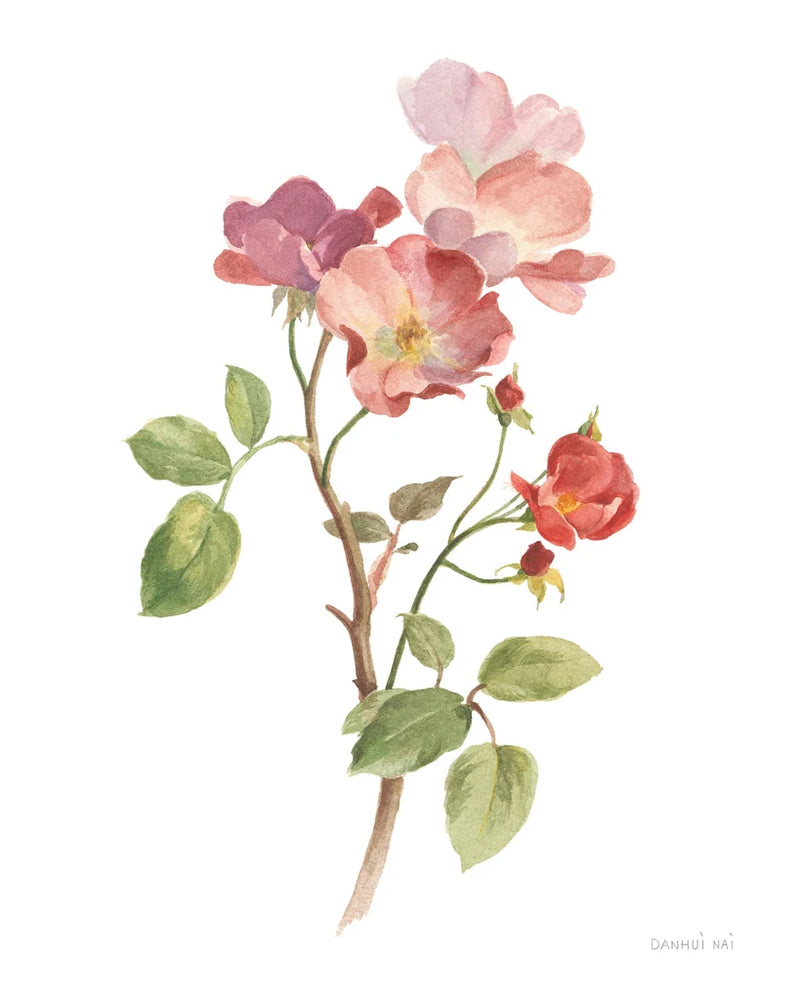 Sprigs of Summer I on White by Danhui Nai