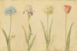 Spring Botanicals by Danhui Nai. SKU 5589i. Archival Giclee Fine art print for wall decor.