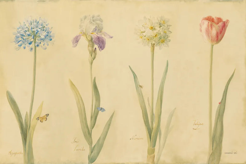 Spring Botanicals by Danhui Nai. SKU 5589i. Archival Giclee Fine art print for wall decor.
