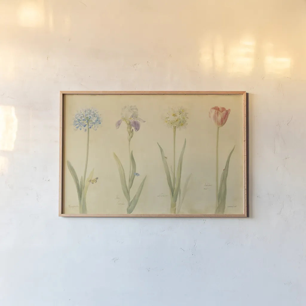 Spring Botanicals by Danhui Nai. shown as a paper print in a natural frame. Available as a archival giclee rolled canvas, fine art paper, or poster print. SKU 5589i.