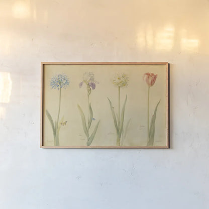 Spring Botanicals by Danhui Nai. shown as a paper print in a natural frame. Available as a archival giclee rolled canvas, fine art paper, or poster print. SKU 5589i.