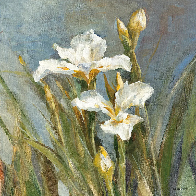 Spring Iris II by Danhui Nai. SKU 29775a. Archival Giclee Fine art print for wall decor.