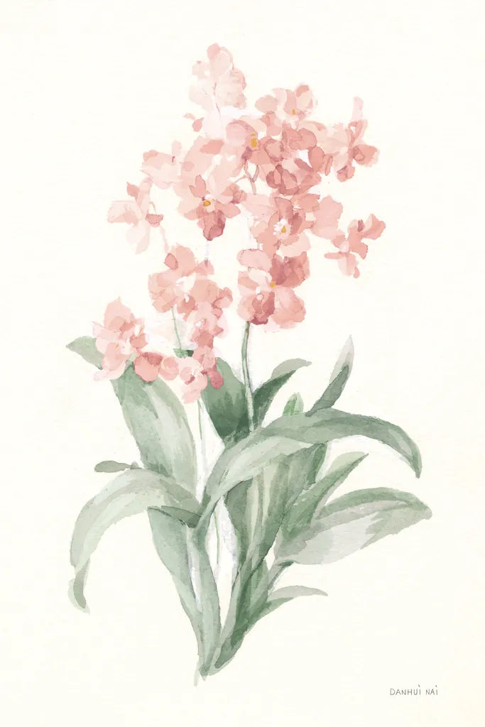 Spring Orchid I by Danhui Nai. SKU 75763h. Archival Giclee Fine art print for wall decor.