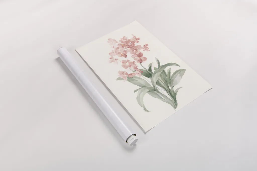 Spring Orchid I by Danhui Nai. shown as a rolled paper print. Available as archival giclee rolled canvas, fine art paper, or poster print. SKU 75763h.