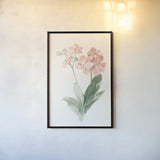 Spring Orchid II by Danhui Nai. shown as a paper print in a black flame. Available as a archival giclee rolled canvas, fine art paper, or poster print. SKU 75764h.