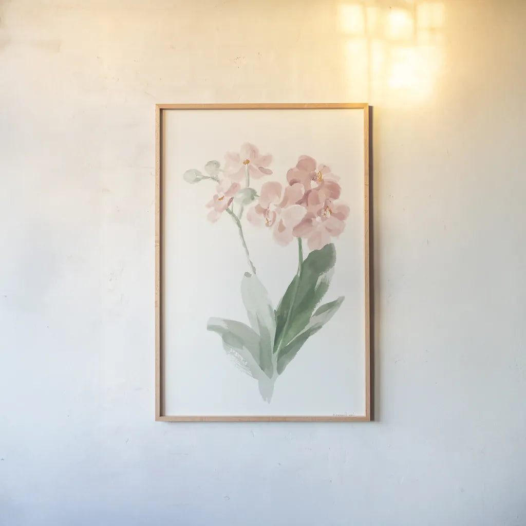 Spring Orchid II by Danhui Nai. shown as a paper print in a natural frame. Available as a archival giclee rolled canvas, fine art paper, or poster print. SKU 75764h.