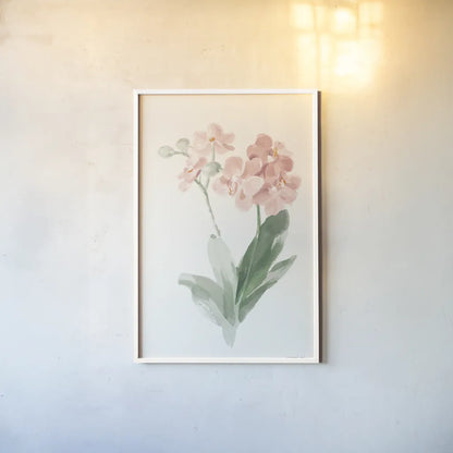 Spring Orchid II by Danhui Nai. shown as a paper print in a white frame. Available as a archival giclee rolled canvas, fine art paper, or poster print. SKU 75764h.