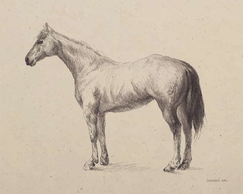 Standing Horse Sketch by Danhui Nai