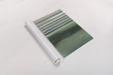 Study in Green II by Danhui Nai. shown as a rolled paper print. Available as archival giclee rolled canvas, fine art paper, or poster print. SKU 76108h.