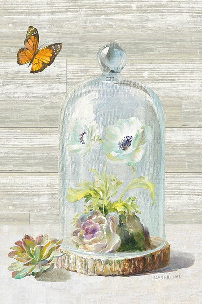 Succulent Garden I Crop by Danhui Nai. SKU 30465h. Archival Giclee Fine art print for wall decor.