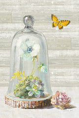 Succulent Garden II Crop by Danhui Nai. SKU 30466h. Archival Giclee Fine art print for wall decor.