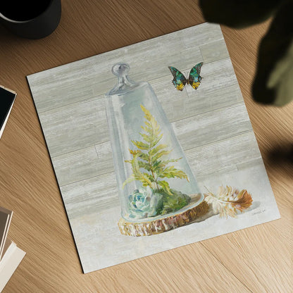 Succulent Garden IV by Danhui Nai. Shown as a detailed flat fine art print, highlighting archival giclee quality. Available as an archival giclee rolled canvas, fine art paper, or poster print. SKU 24521a.