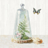 Succulent Garden IV Sage by Danhui Nai. SKU 63069a. Archival Giclee Fine art print for wall decor.