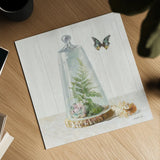 Succulent Garden IV Sage by Danhui Nai. Shown as a detailed flat fine art print, highlighting archival giclee quality. Available as an archival giclee rolled canvas, fine art paper, or poster print. SKU 63069a.