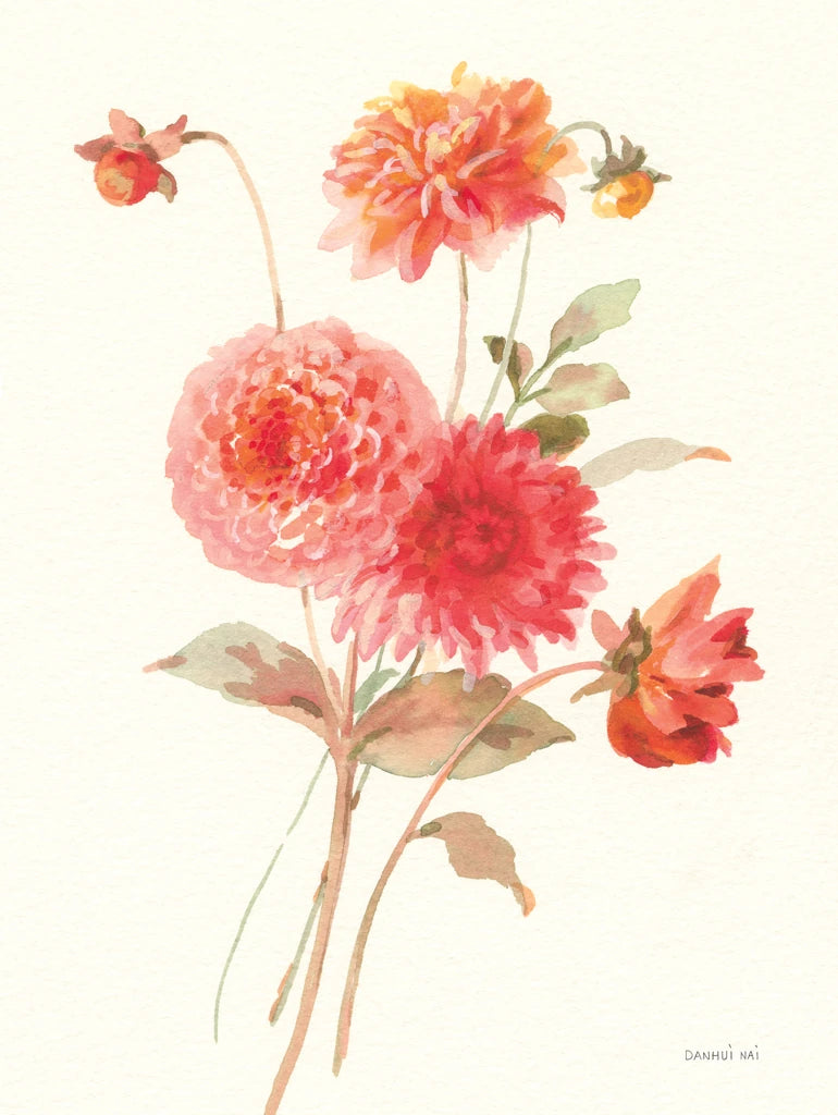 Summer Dahlias I by Danhui Nai