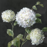 Summer Simplicity Black by Danhui Nai. SKU 96543a. Archival Giclee Fine art print for wall decor.