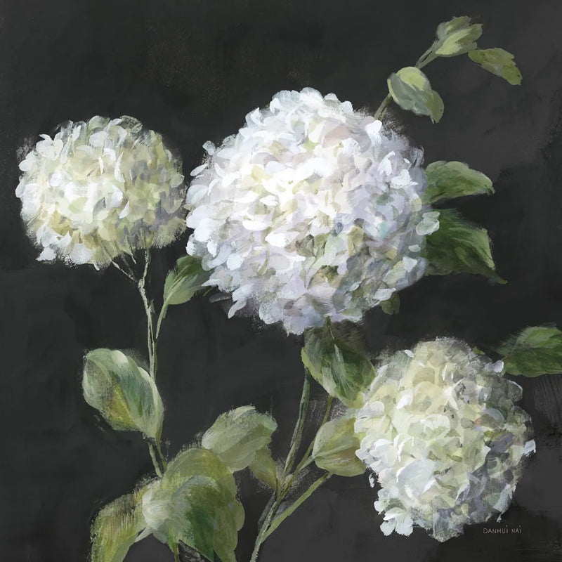 Summer Simplicity Black by Danhui Nai. SKU 96543a. Archival Giclee Fine art print for wall decor.