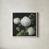 Summer Simplicity Black by Danhui Nai. Shown in a crisp white glass frame for a clean and minimalist style. Available as an archival giclee rolled canvas, fine art paper, or poster print. SKU 96543a.