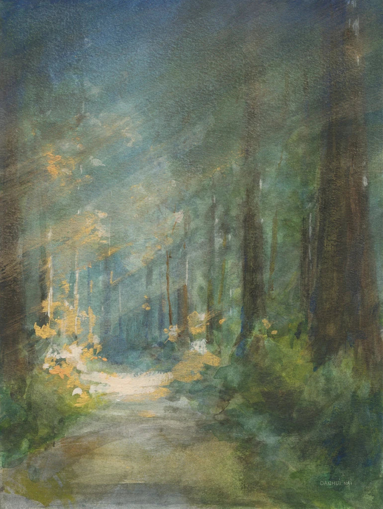 Sun Soaked Redwoods by Danhui Nai