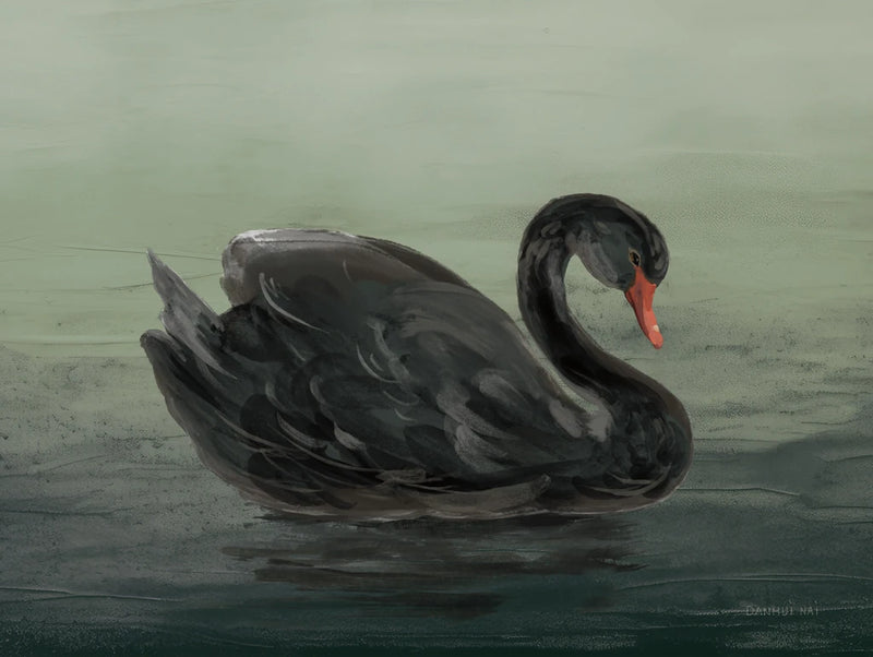 Swan Pair Black v2 by Danhui Nai