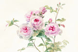 Sweet Roses on White Green by Danhui Nai. SKU 35346i. Archival Giclee Fine art print for wall decor.