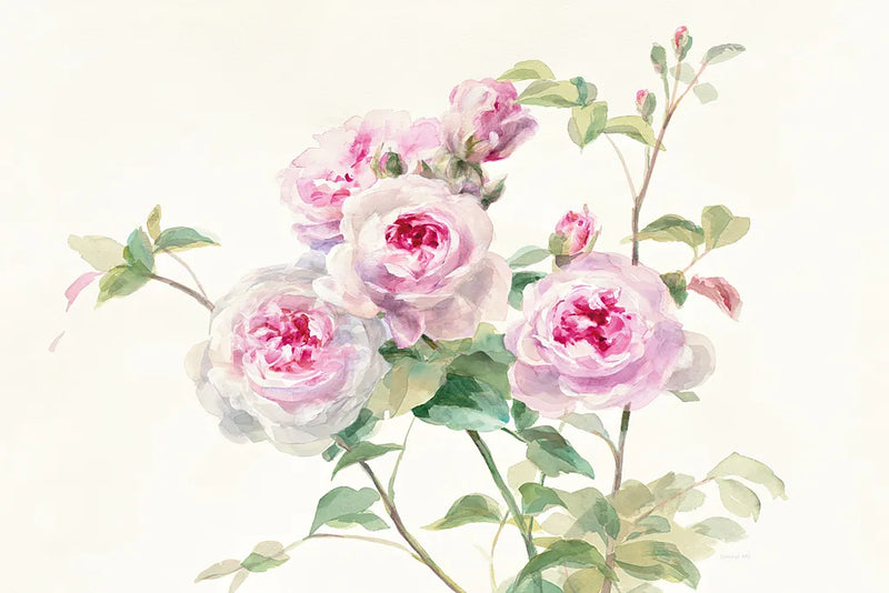 Sweet Roses on White Green by Danhui Nai. SKU 35346i. Archival Giclee Fine art print for wall decor.
