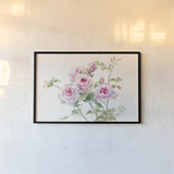 Sweet Roses on White Green by Danhui Nai. shown as a paper print in a black flame. Available as a archival giclee rolled canvas, fine art paper, or poster print. SKU 35346i.