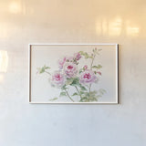 Sweet Roses on White Green by Danhui Nai. shown as a paper print in a white frame. Available as a archival giclee rolled canvas, fine art paper, or poster print. SKU 35346i.