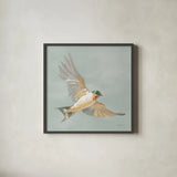 Swifts II by Danhui Nai. Shown in a sleek black glass frame for a contemporary gallery look. Available as an archival giclee rolled canvas, fine art paper, or poster print. SKU 84800a.