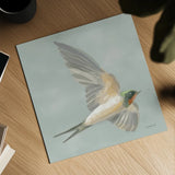 Swifts III by Danhui Nai. Shown as a detailed flat fine art print, highlighting archival giclee quality. Available as an archival giclee rolled canvas, fine art paper, or poster print. SKU 84801a.