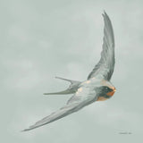 Swifts IV by Danhui Nai. SKU 84802a. Archival Giclee Fine art print for wall decor.