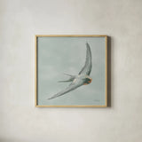 Swifts IV by Danhui Nai. Shown in a natural wood glass frame for a timeless modern aesthetic. Available as an archival giclee rolled canvas, fine art paper, or poster print. SKU 84802a.
