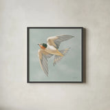 Swifts V by Danhui Nai. Shown in a sleek black glass frame for a contemporary gallery look. Available as an archival giclee rolled canvas, fine art paper, or poster print. SKU 84803a.