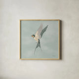 Swifts VI by Danhui Nai. Shown in a natural wood glass frame for a timeless modern aesthetic. Available as an archival giclee rolled canvas, fine art paper, or poster print. SKU 84804a.