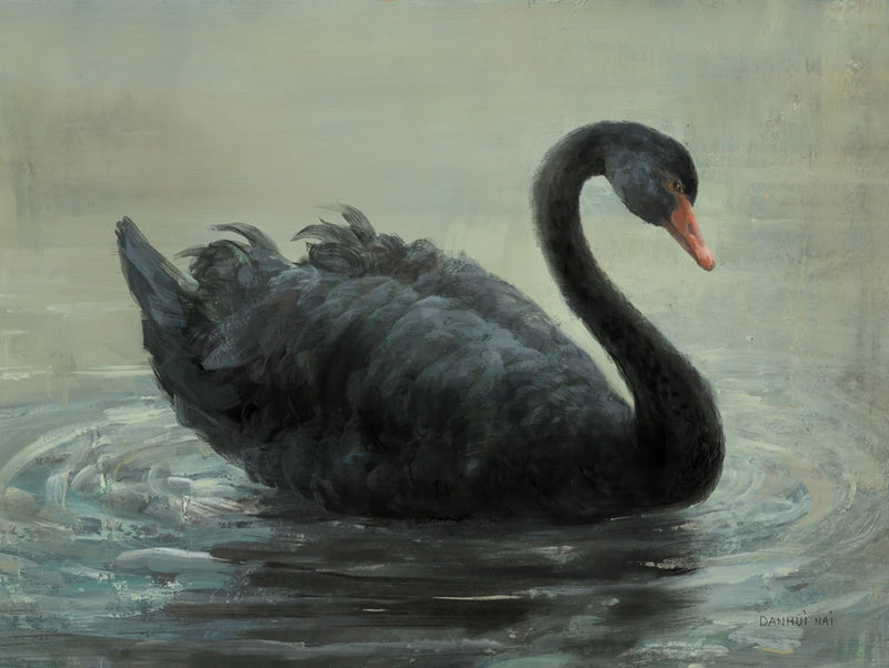 Swimming Swan by Danhui Nai