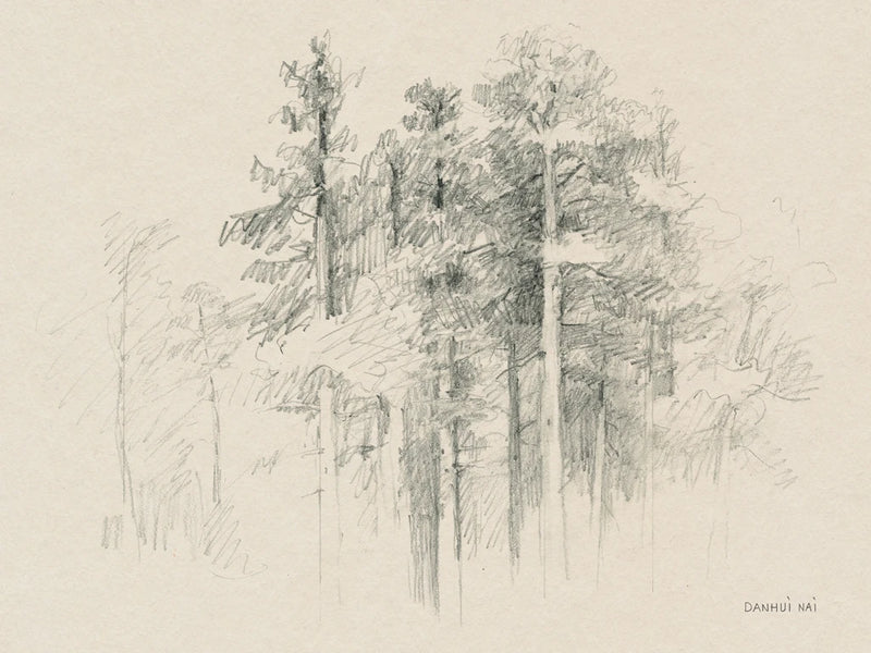 The Glade by Danhui Nai