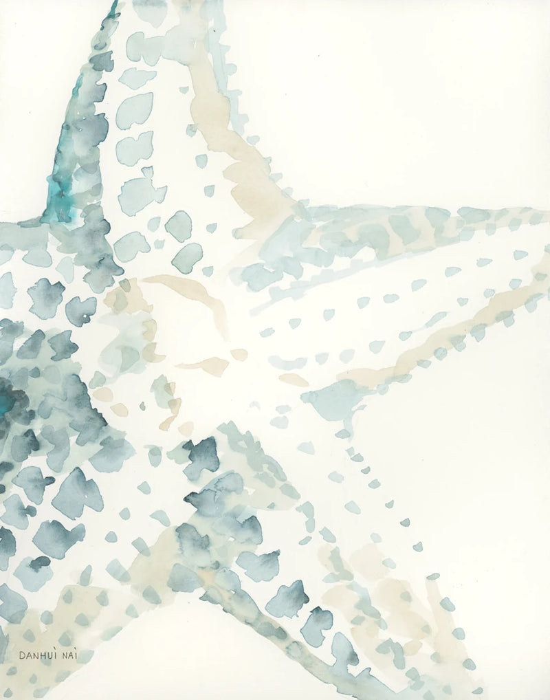 Timeless Starfish by Danhui Nai