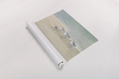 Tranquil Shorebirds on the Sand I by Danhui Nai. shown as a rolled paper print. Available as archival giclee rolled canvas, fine art paper, or poster print. SKU 85290i.