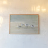 Tranquil Shorebirds on the Sand I by Danhui Nai. shown as a paper print in a natural frame. Available as a archival giclee rolled canvas, fine art paper, or poster print. SKU 85290i.