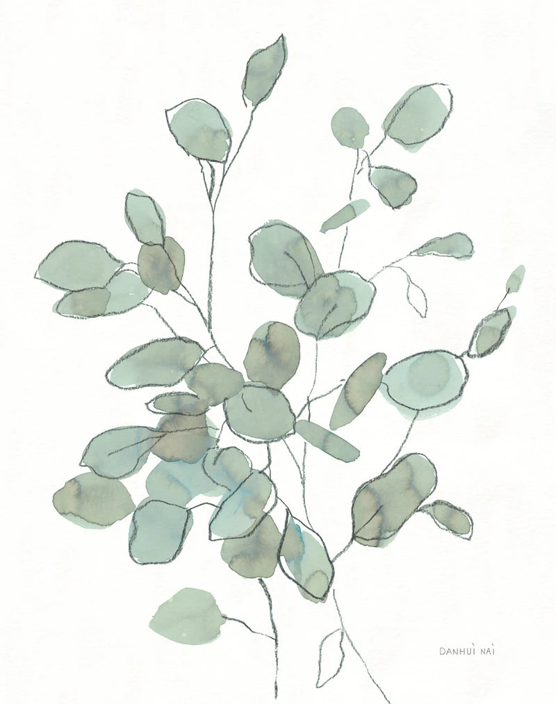 Transparent Leaves Eucalyptus by Danhui Nai